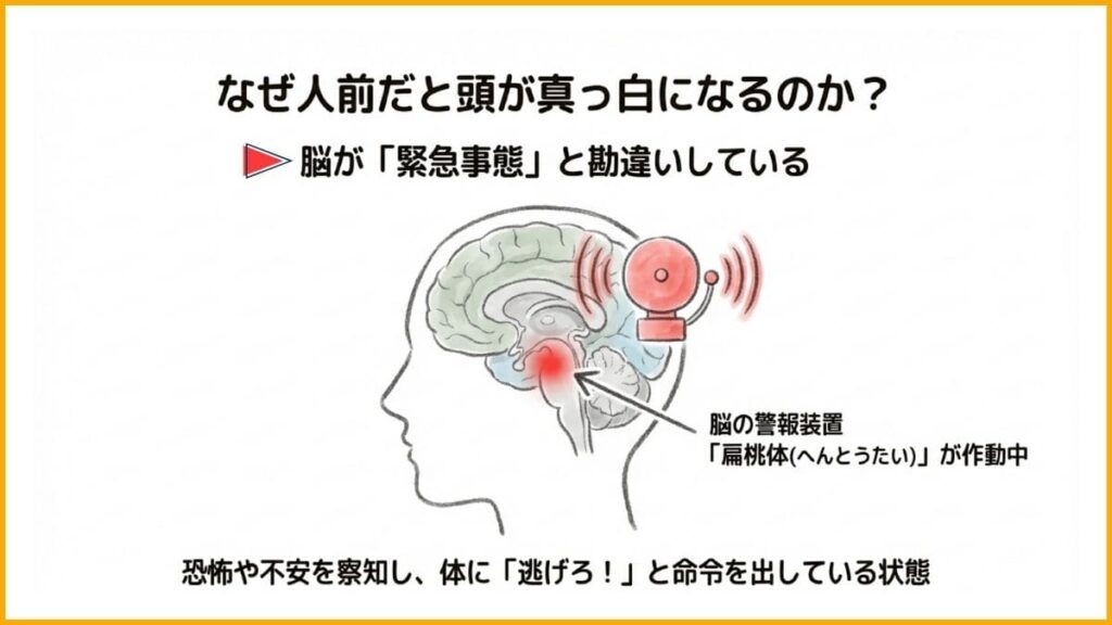 脳の警報装置、扁桃体が暴走している